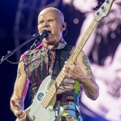 Flea